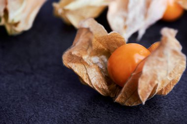 Physalis meyvesi - Physalis Peruviana - derisi koyu arkaplanda - yakın çekim