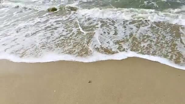 Vidéo du surf de mer sur la côte bretonne — Video