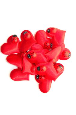 ladybirds kalbimizle