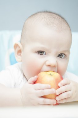 Beyaz yanaklı tot yürekten elma yeme portresi