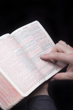 apoyo y la comprensión