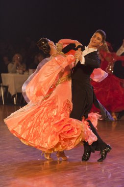 Minsk-açık Kupası IDSF Şampiyonası