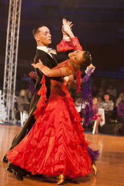 Minsk-açık Kupası IDSF Şampiyonası