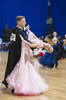 Dünya Açık Minsk 2012 WDSF Şampiyonası