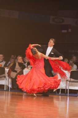 Minsk-açık Kupası IDSF Şampiyonası