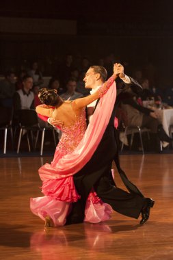 Minsk-açık Kupası IDSF Şampiyonası