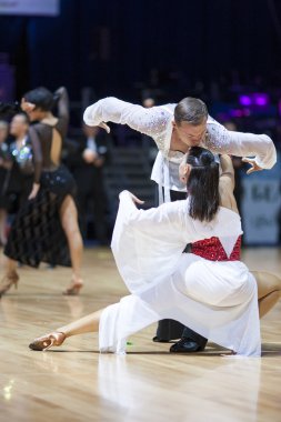 Dünya Açık Minsk 2012 WDSF Şampiyonası