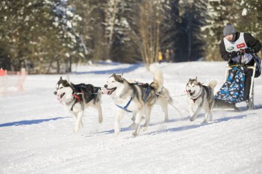 Minsk-belarus - 27 Ocak 2013: tanımlanamayan katılımcı yet