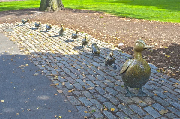 Anne ördek ve boston yerel sembolü olarak sekiz küçük ördek