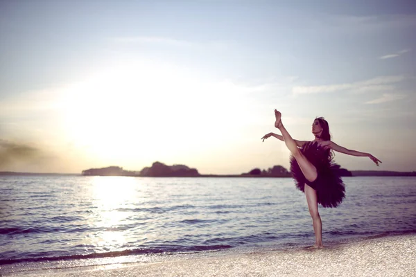 Profesyonel Japon Bale Dansçısı Siyah Tutu ve Gümüş Taç Pozisyonu Bale Pas sırasında Açık Hava Dans Pas sırasında Yatay Resim