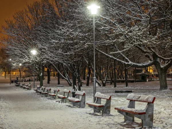 A téli éjszakában park padok — Stock Fotó