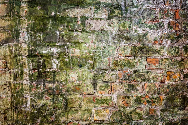 Vecchio muro di mattoni muschiati vernice in edificio industriale — Foto Stock