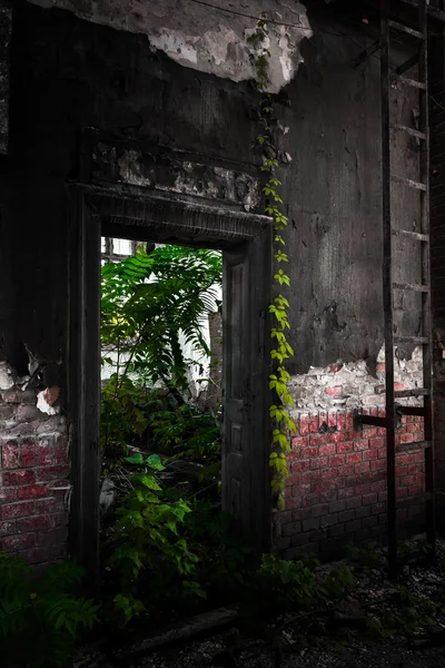 Tür in einem trostlosen Industriegebäude — Stockfoto