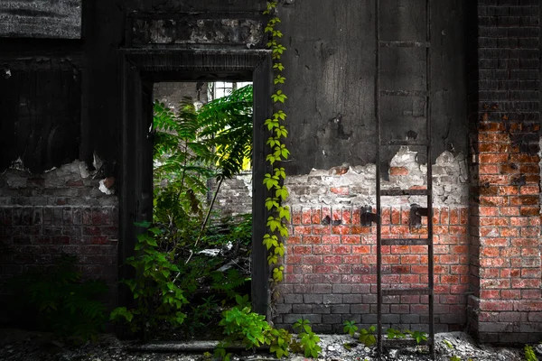 Porta in un edificio industriale desolato — Foto Stock