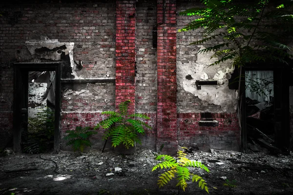 Portas em um edifício industrial desolado — Fotografia de Stock