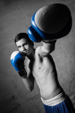 Genç boksör fighter