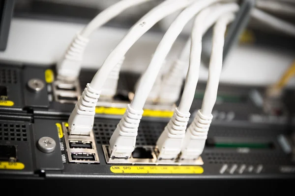 Мережевий комутатор та кабелі UTP Ethernet — стокове фото