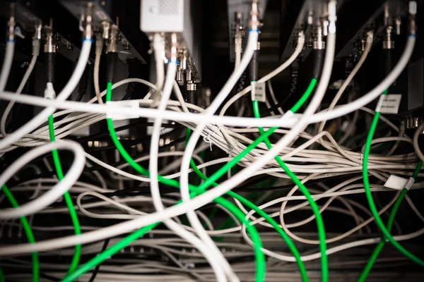 Network switch and UTP ethernet cables — Stock Photo, Image