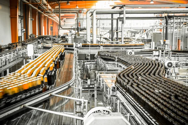 Beer bottles on the conveyor belt — Stock Photo, Image