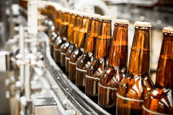 Bierflaschen auf dem Förderband lizenzfreie Stockbilder