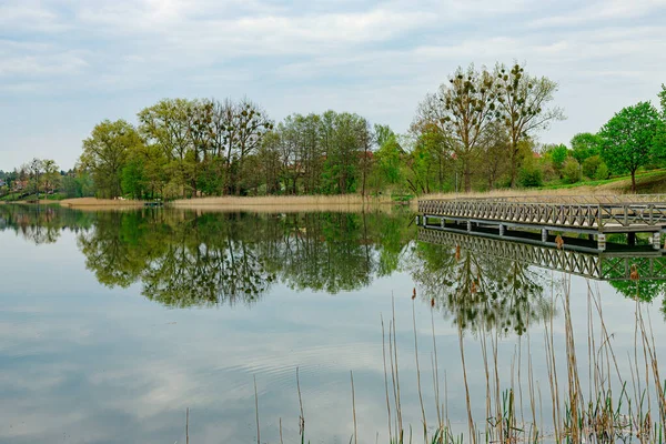 Şehir plajı ve Ryn manzarası. Ryn kasabasındaki Olow Gölü manzarası. Polonya, Masuria 'yı gezmek. Avrupa 'nın doğası.