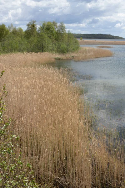 Segelboot Pier Sniardwy See Masuren Polen Landschaftsebene Große Polnische Seen — Stockfoto