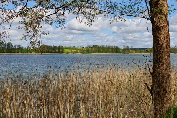 Sunny morning by the lake. Blue sky with clouds. Lake Olow, Ryn in Masuria. Horizontal landscape. Tourism in Poland. Trip around Europe. Waves on the water. Rest by the water. Hiking and biking.