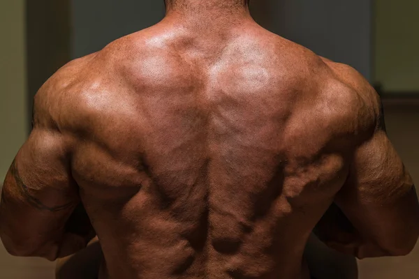Male bodybuilder flexing his back — Stock Photo, Image