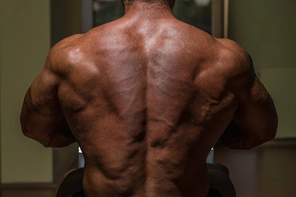 Male bodybuilder flexing his back — Stock Photo, Image