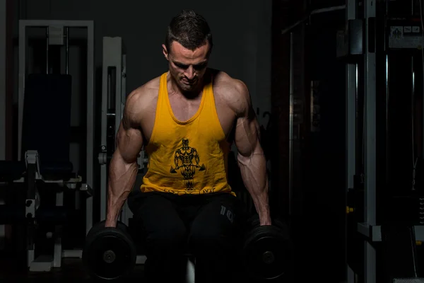 Fitness trainer posing with dumbbells — Stock Photo, Image