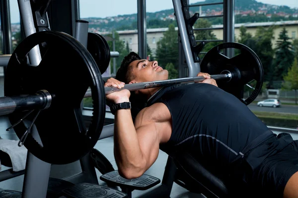 Bench press egzersiz