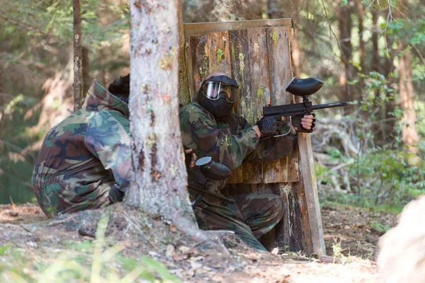 ağacın arkasında Paintball oyuncuları gizle