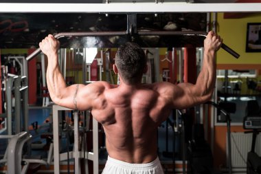 geri egzersiz yaparak vücut geliştirmeci