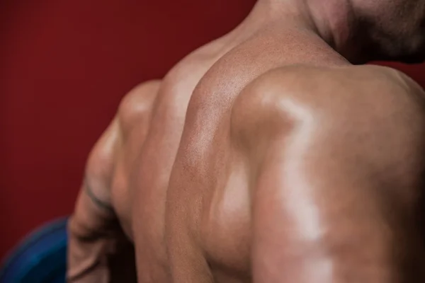 Muscular Back — Stock Photo, Image