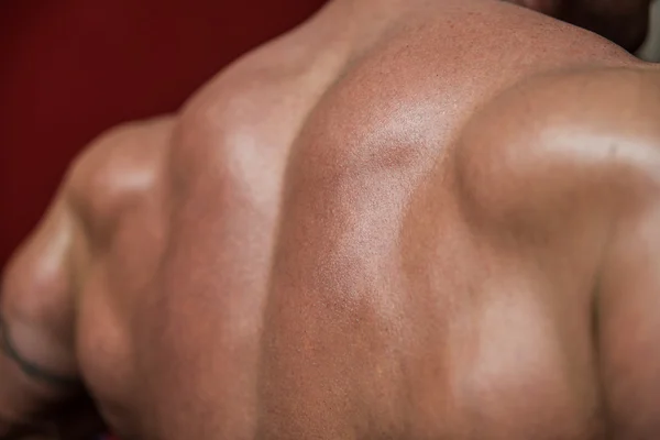 Muskulöser Rücken — Stockfoto