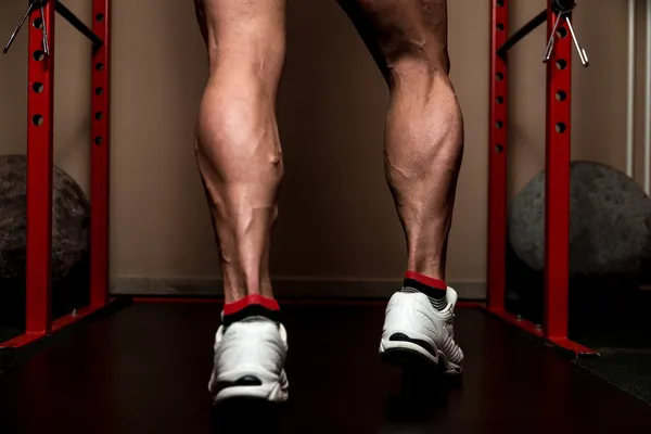 Sporty Legs Calf — Stock Photo, Image