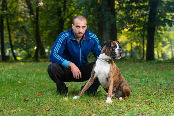 公園で犬と遊ぶ男 — ストック写真