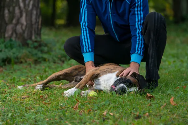 Bästa vänner — Stockfoto