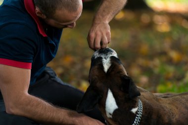Köpekle oynayan adam.