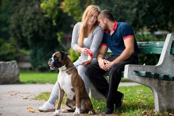 Pretty Young Family With Dogs — Stock Photo, Image