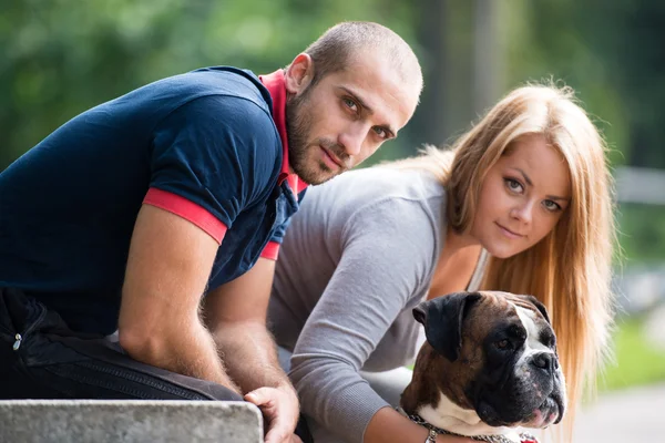犬と若いカップル — ストック写真