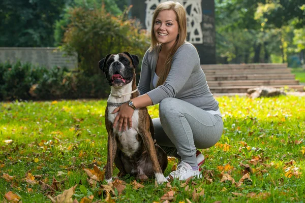 Vriendelijke hond — Stockfoto