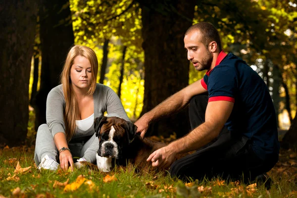 Ganska ung familj med hundar — Stockfoto