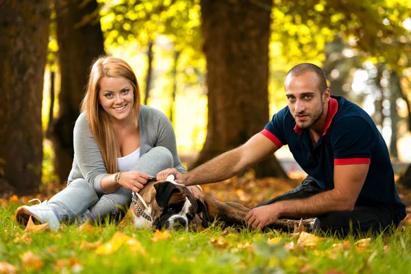 Schönes Paar mit dem Hund — Stockfoto