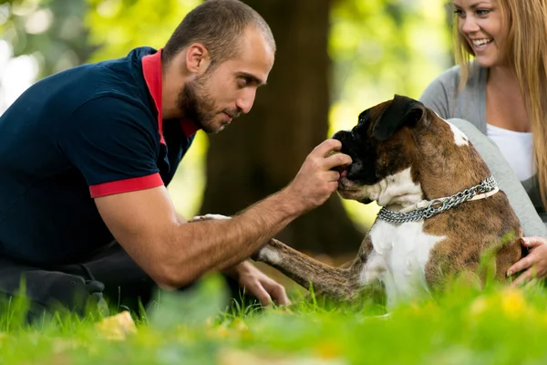 Jonge mensen met hun hond in het park — Stockfoto