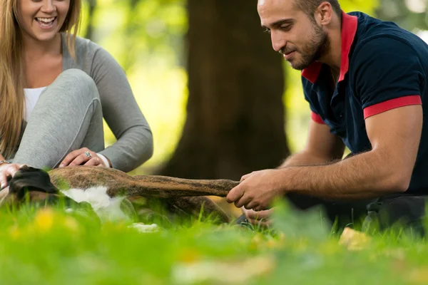 Jong koppel met hond — Stockfoto