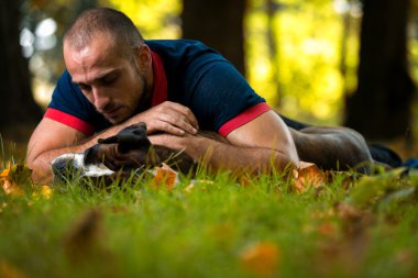 sevimli köpek yavruları