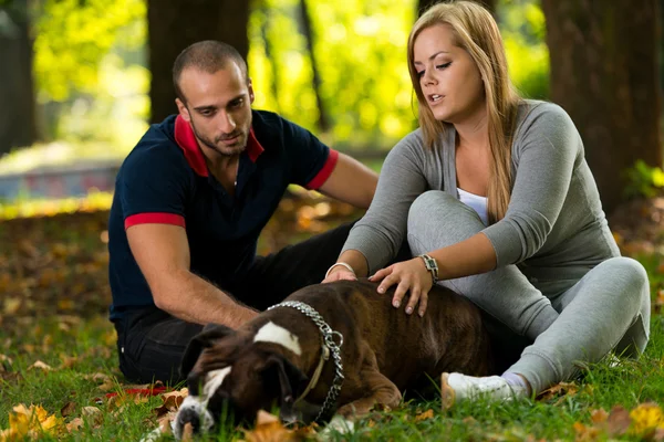 Happy Couple With German Boxer — Stock Photo, Image