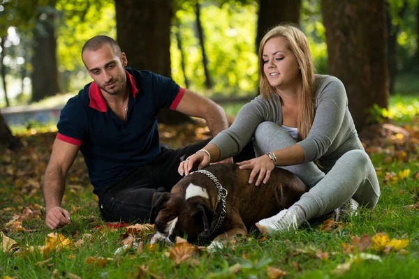 Vackra par med hunden — Stockfoto