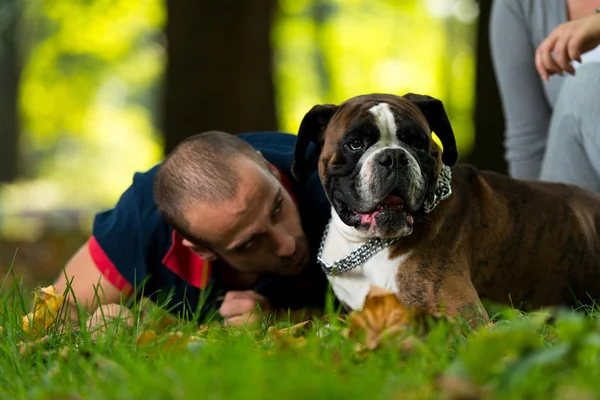 Beijando cão — Fotografia de Stock